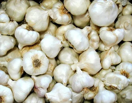 aglio