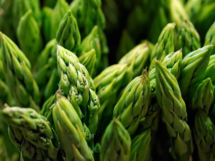 punte asparagi