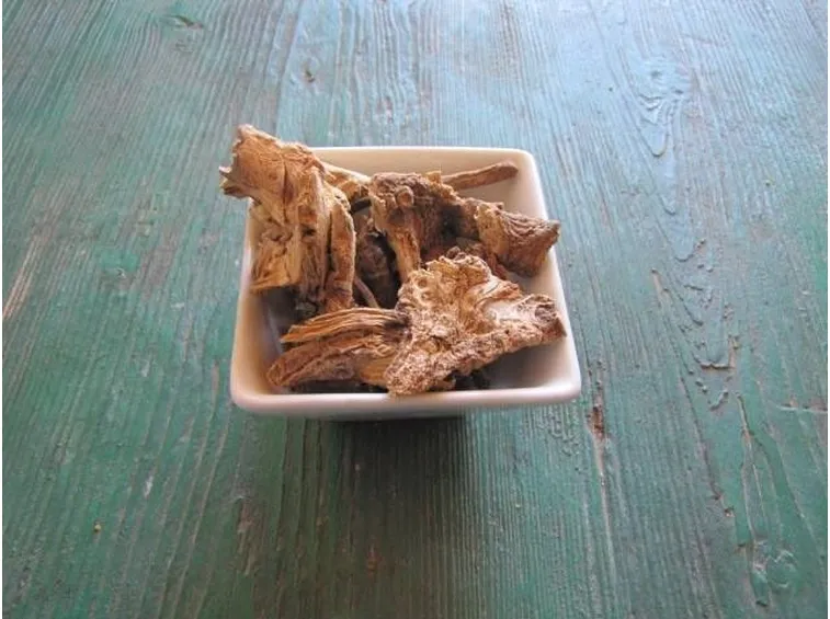 Semina belladonna