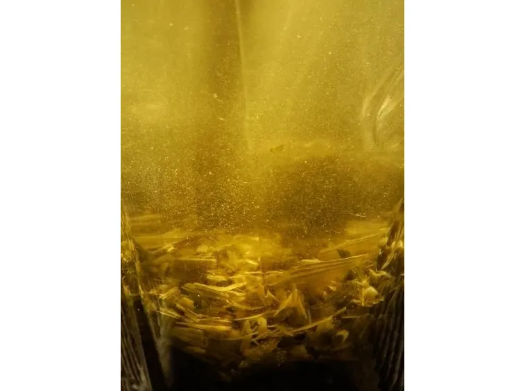 infuso buon enrico