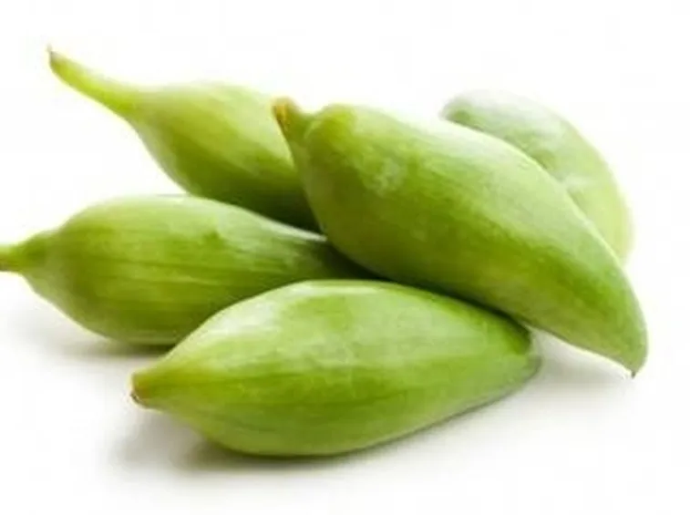 caigua