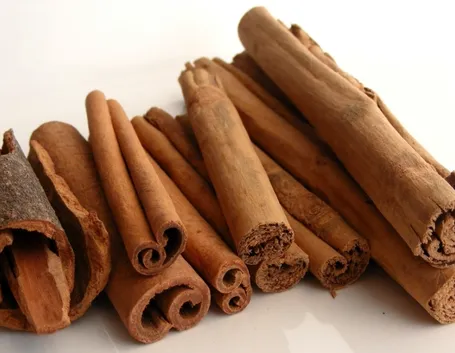 Cannella