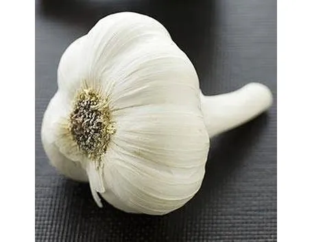 aglio