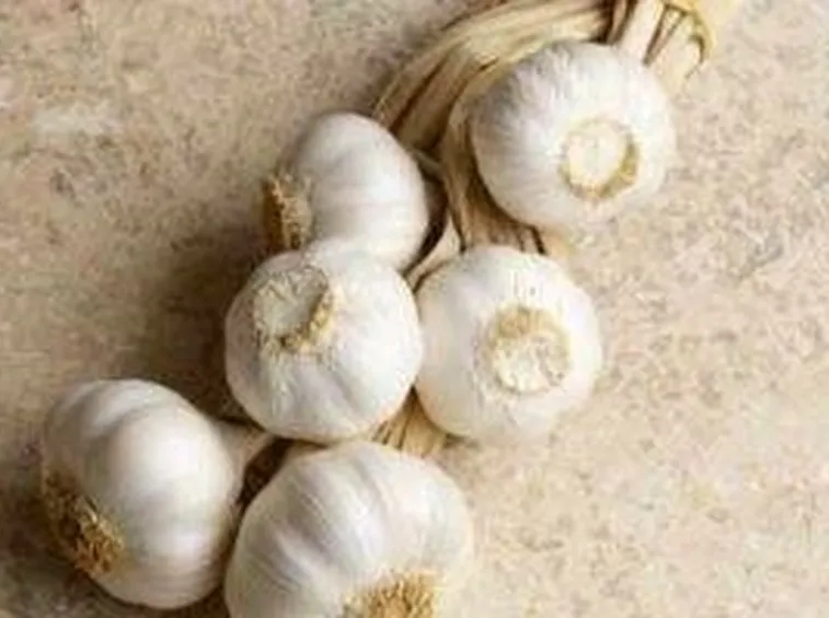 aglio