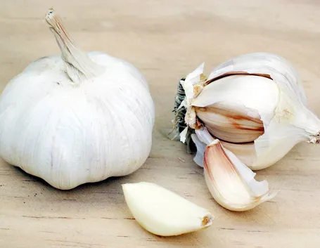 aglio