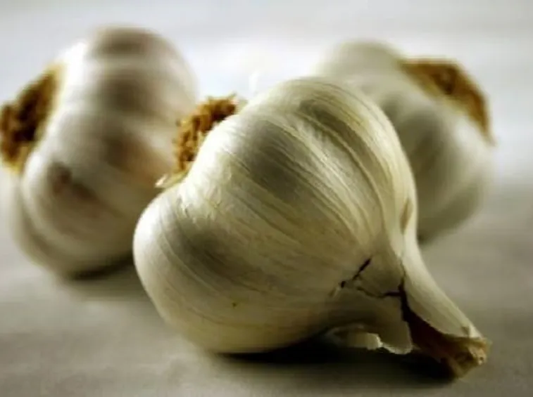 aglio