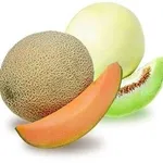 meloni