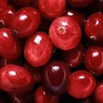 mirtillo rosso