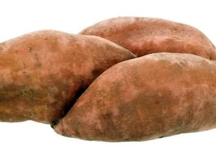 patata dolce