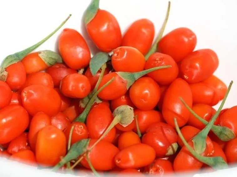 http://olharfeliz.typepad.com/cuisine/pas_vraiment_intressant/