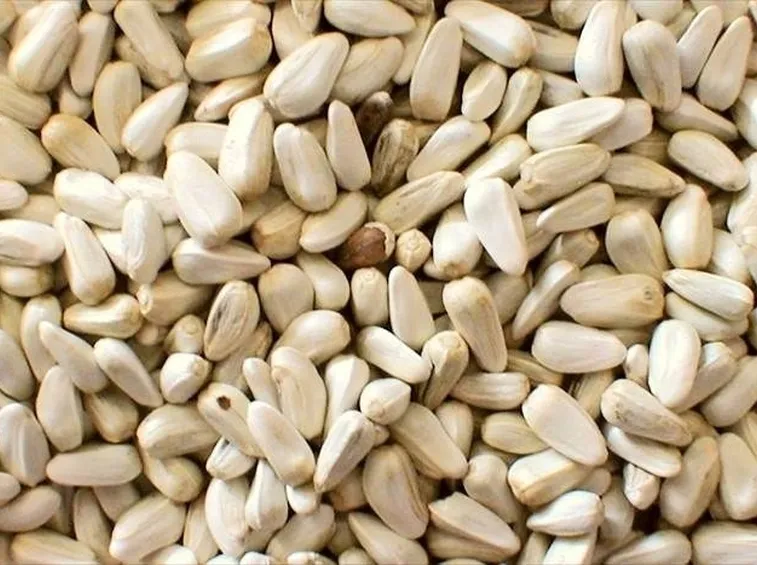 semi cartamo