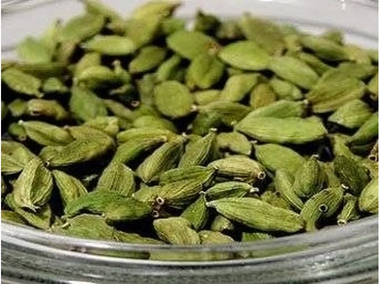 semi cassia nomame