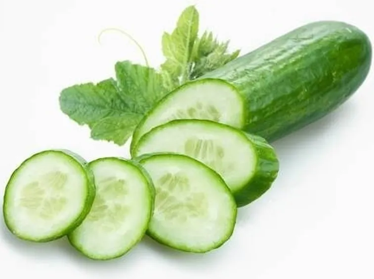 cetriolo