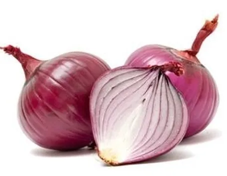 cipolle