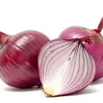 cipolle