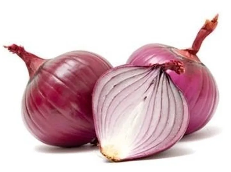 cipolle