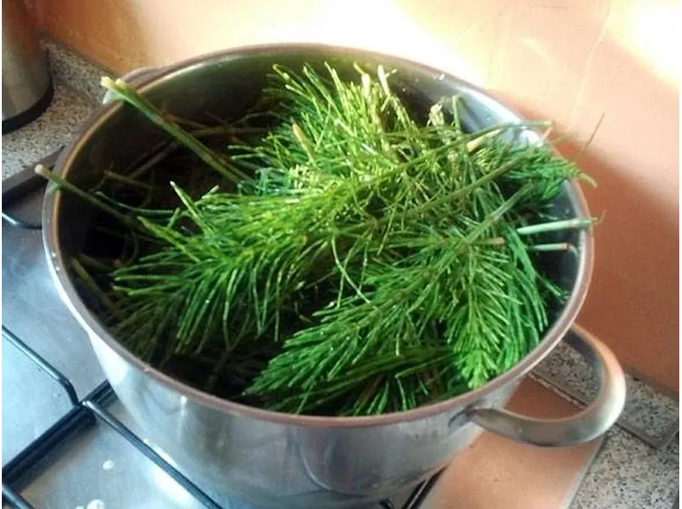 preparazione decotto