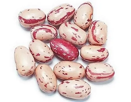 fagioli