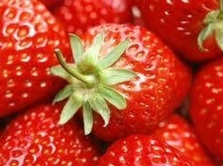 fragole