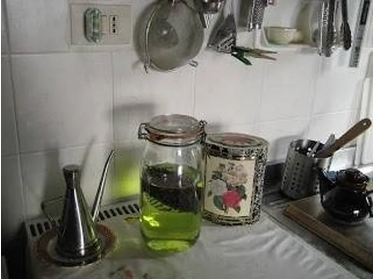 infuso genepi