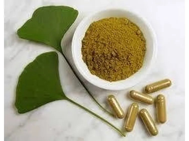 capsule GINGKO BILOBA