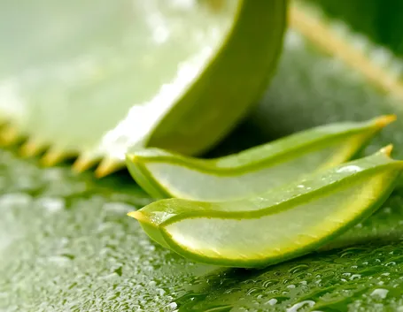 sciroppo aloe