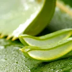 sciroppo aloe