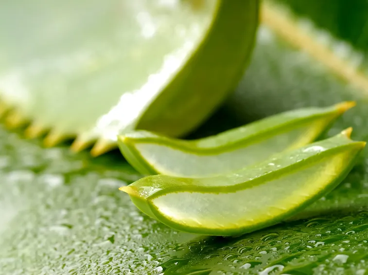 sciroppo aloe
