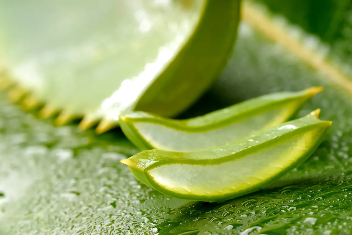 sciroppo aloe