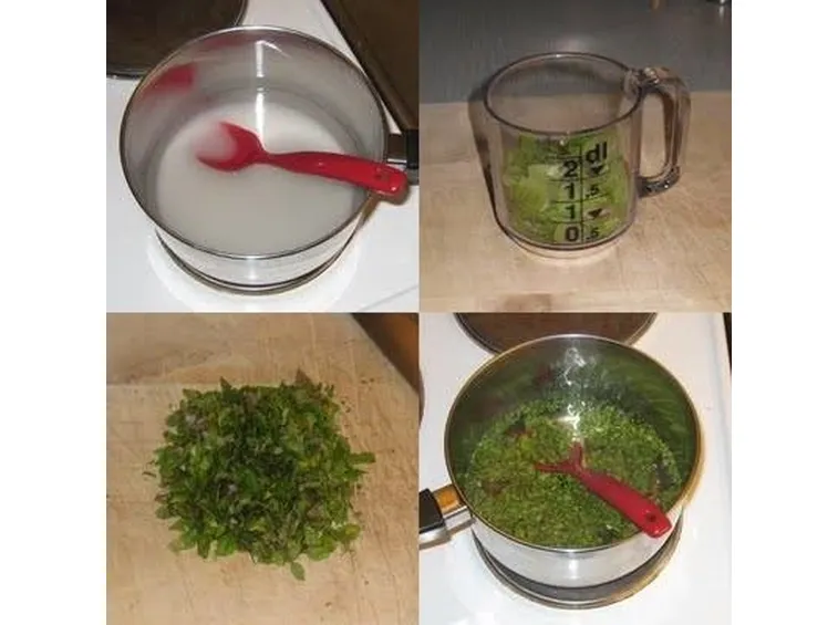 sciroppo menta