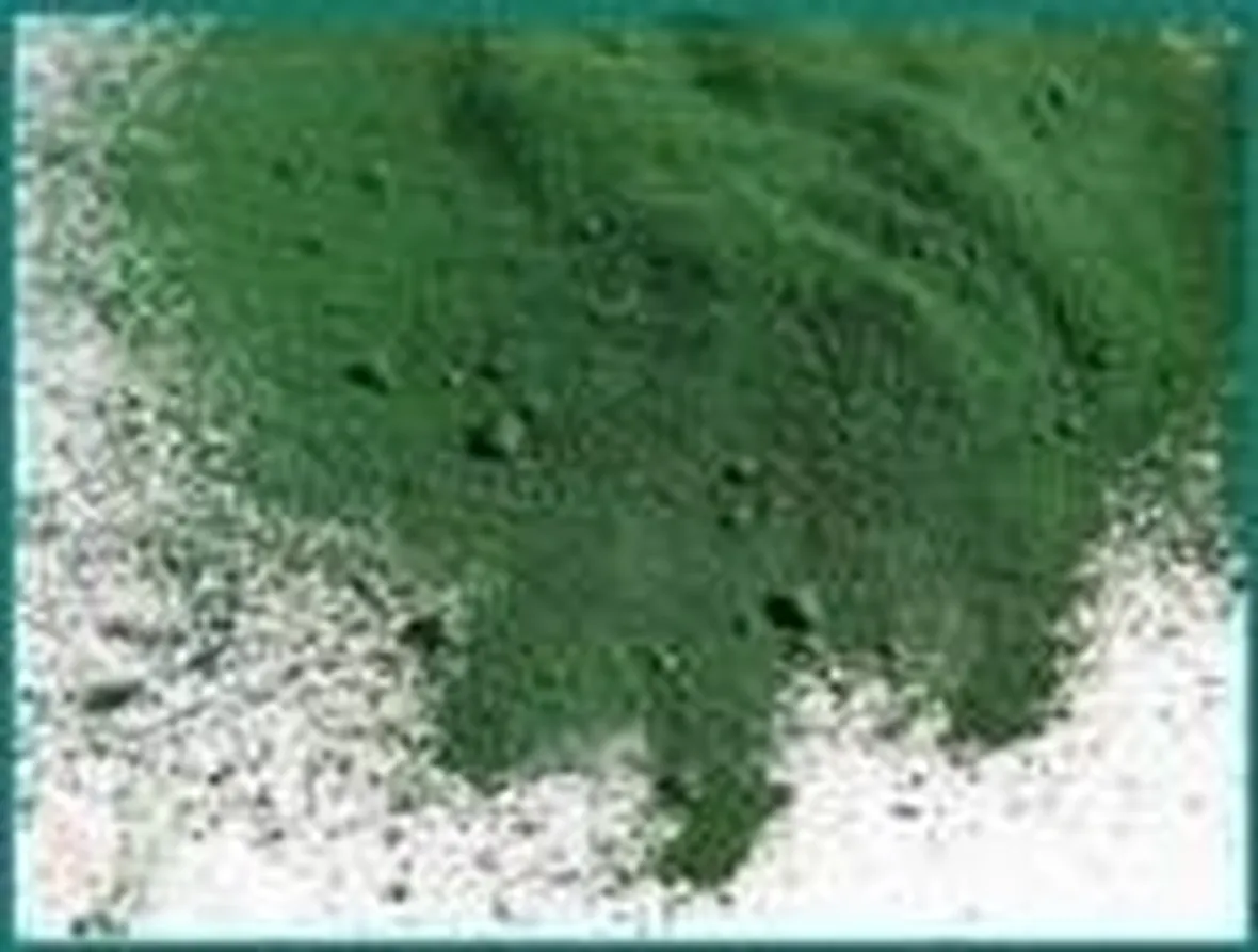 estratti