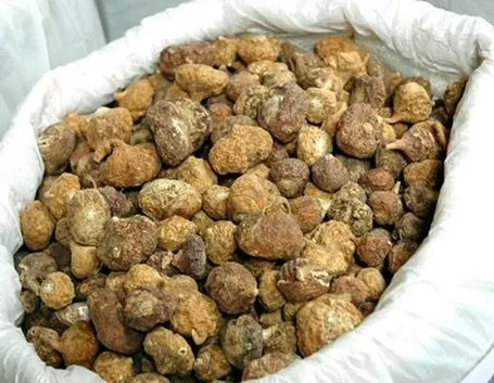 maca secca