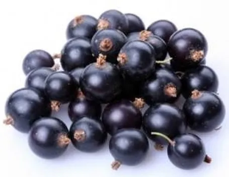 Frutto dell'Acai