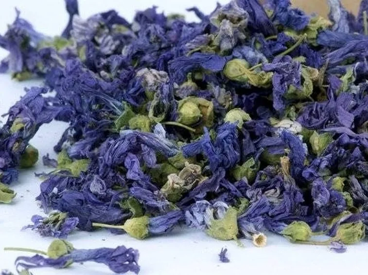 Malva tisana