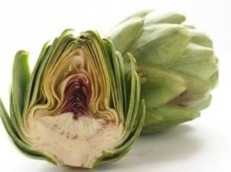 carciofi