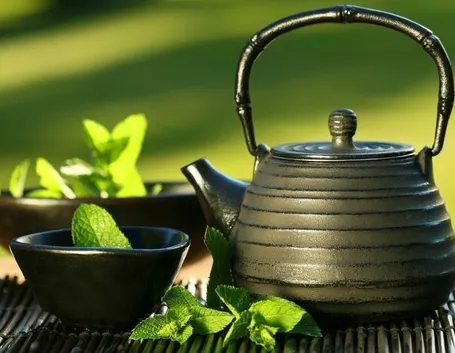 tisana depurativa