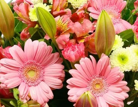 fiori finti