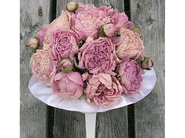 composizione fiori secchi