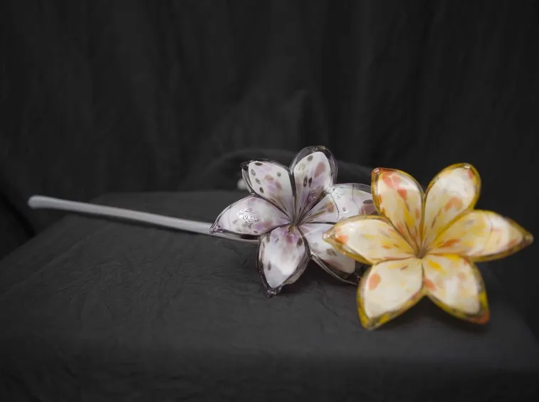 Fiori di vetro a sei petali di colore giallo e rosa