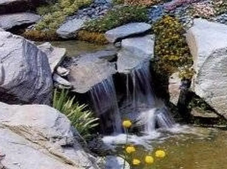 giardino roccioso
