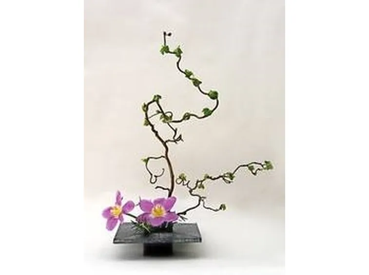 ikebana