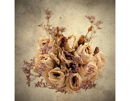 fiori secchi