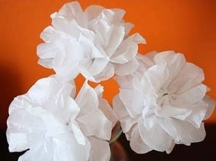fiori di carta crespa