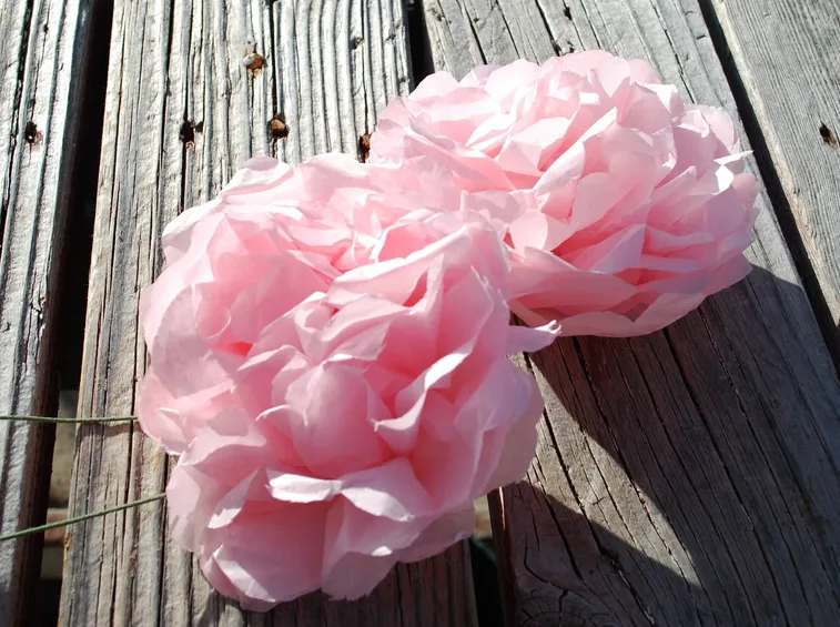fiori di carta