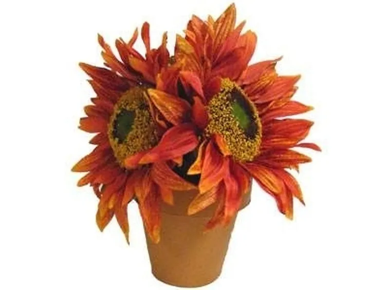 fiori cartapesta