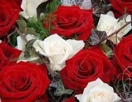 fiori