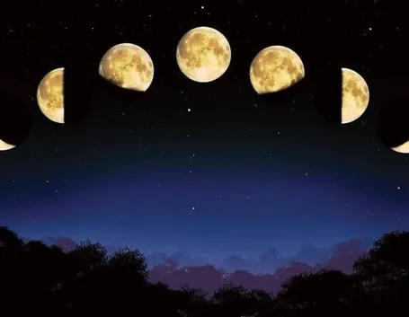fiori, piante e Luna