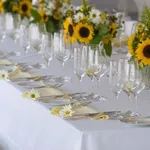 girasoli
