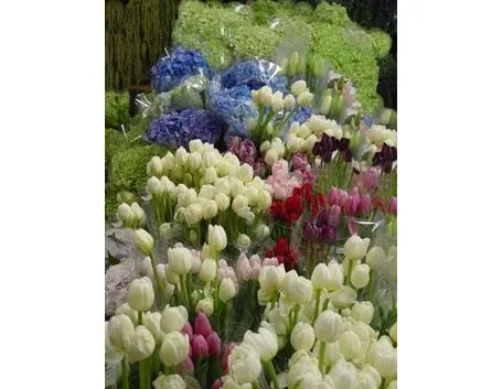fiori