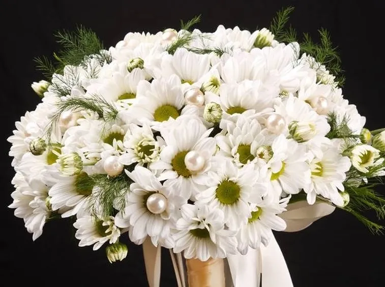 mazzo di fiori margherite